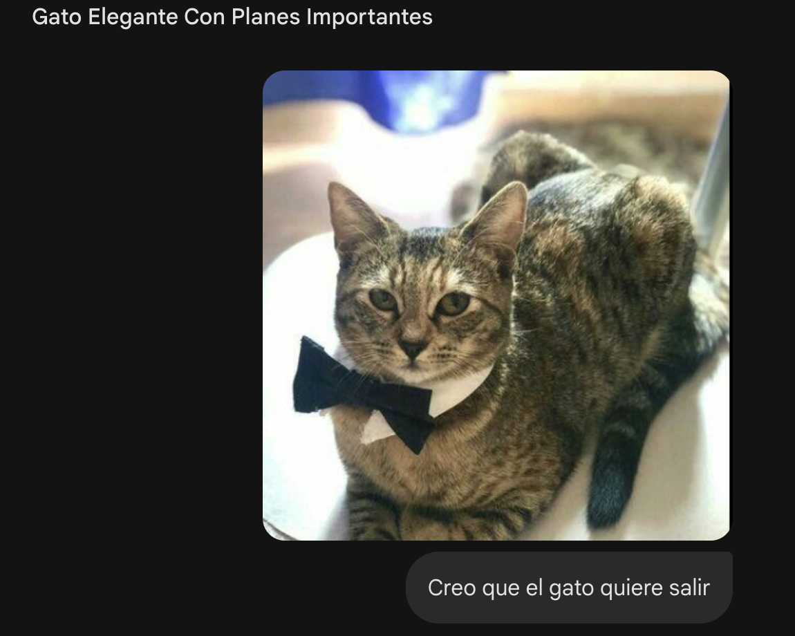 Gato elegante con planes importantes — La IA interpreta que quiere salir de fiesta